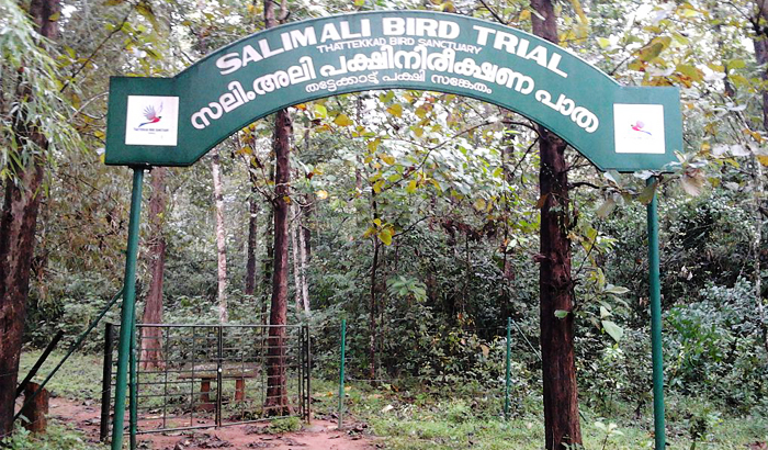 Salim-Ali-Bird-Sanctuary_Munnar Salim-Ali-Bird-Sanctuary_Munnar